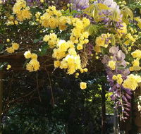 Bowral Road Bed and Breakfast - Accommodation in Brisbane