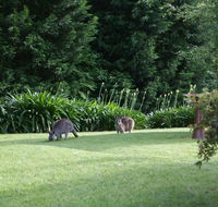 Bundanoon 2578 - Accommodation in Brisbane