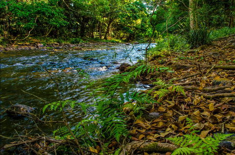 Cairns Homestead: A Peaceful Getaway - Accommodation in Brisbane 3