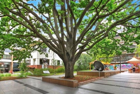 Canberra Luxury Apartment 8 - Accommodation in Brisbane 1