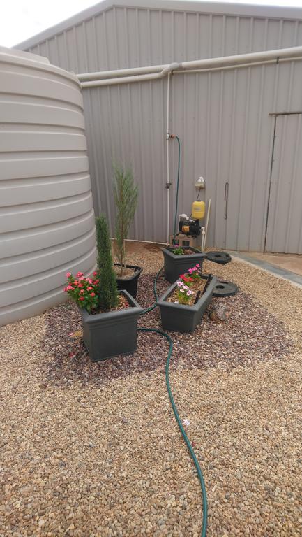 Chrissie's Dongara - Accommodation in Brisbane 2