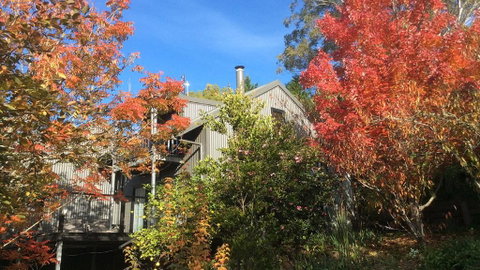 Cloudsong Chalet 4 - Close To The Village Centre! - Accommodation in Brisbane 0