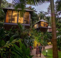 Daintree Ecolodge - Accommodation in Brisbane