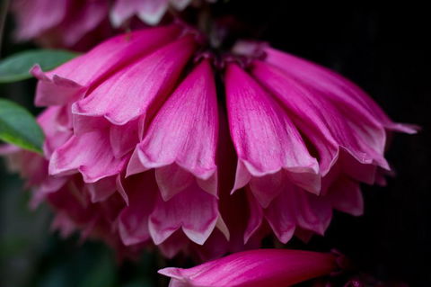 Daintree Village Hideaway - Accommodation in Brisbane 3