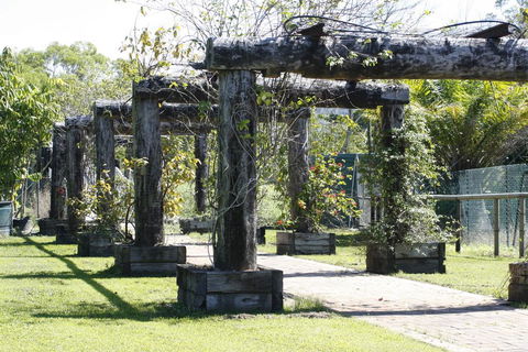 Daintree Wild Bed & Breakfast - Accommodation in Brisbane 2