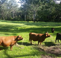 Dingley Dell - Accommodation in Brisbane