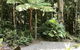 Forest Views Daintree - thumb 0