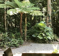 Forest Views Daintree - Accommodation in Brisbane