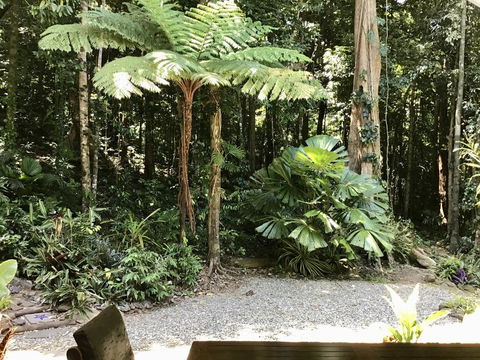 Forest Views Daintree - Accommodation in Brisbane 0