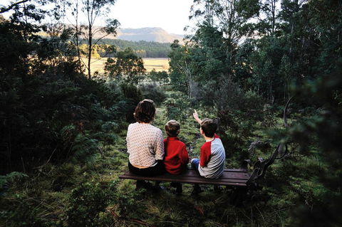 Forest Walks Lodge - Accommodation in Brisbane 3