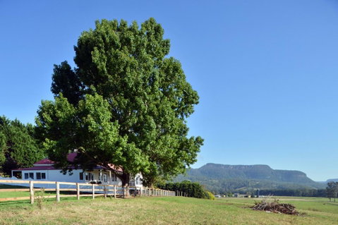 Glenmurray - Country Farm Stay! - Accommodation in Brisbane 2