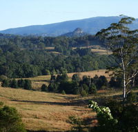 Grey Gum Lodge - Accommodation in Brisbane