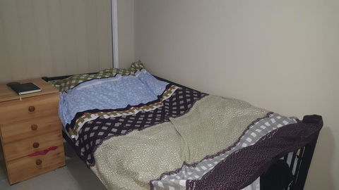 Harvey Heaven - Accommodation in Brisbane 3