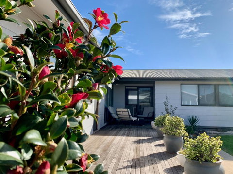 Homely Getaways In Surf Beach - Pet Friendly - Accommodation in Brisbane 0