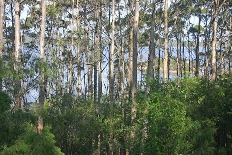 Honeymoon View - Accommodation in Brisbane 2