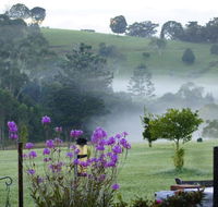 La Dolce Vita - Accommodation in Brisbane