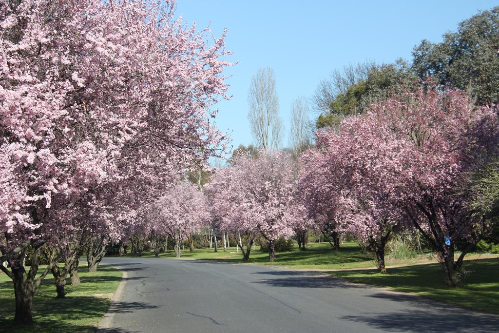 Kelso NSW Accommodation in Brisbane