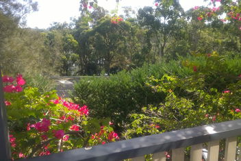 Linley House with Accommodation in Brisbane
