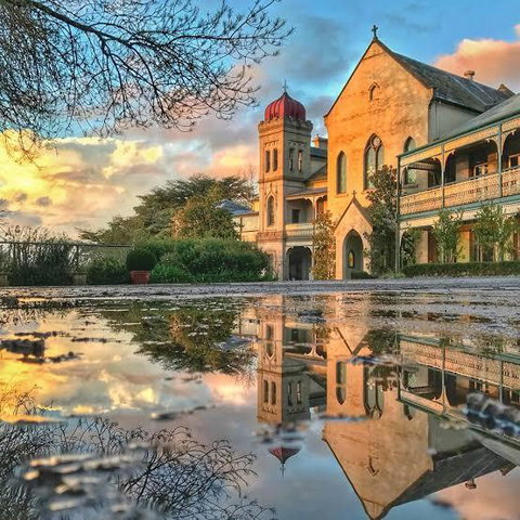 Manna Gums - Accommodation in Brisbane 3