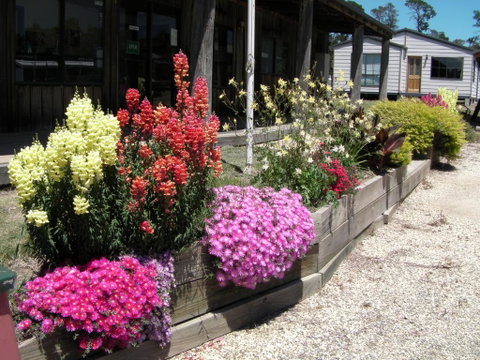 Mansfield Holiday Park - Accommodation in Brisbane 3