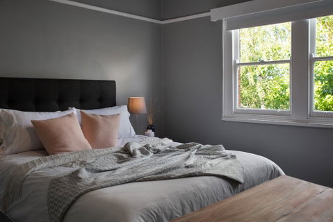 Maple - Accommodation in Brisbane 3