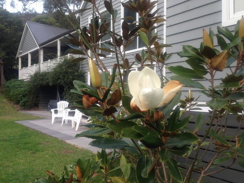 McCrae Lodge - Accommodation in Brisbane 1