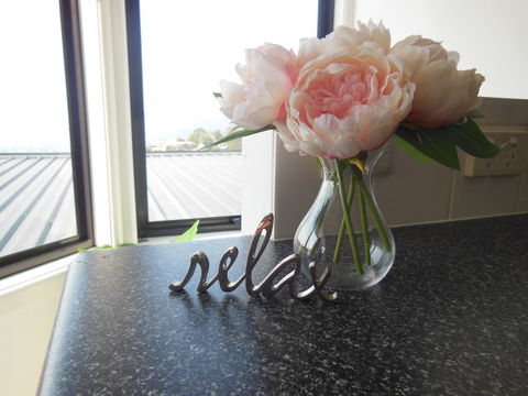 Modern Hobart Apartment With Stunning Views - Accommodation in Brisbane 0