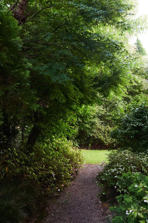 Mountain Sojourn - Accommodation in Brisbane 3