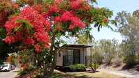 Book Mount Larcom Accommodation Vacations Accommodation in Brisbane Accommodation in Brisbane