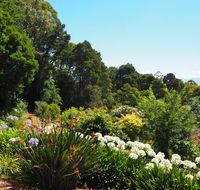 Murrindindi - Accommodation in Brisbane