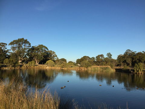 Lakeside Views - Accommodation in Brisbane 18