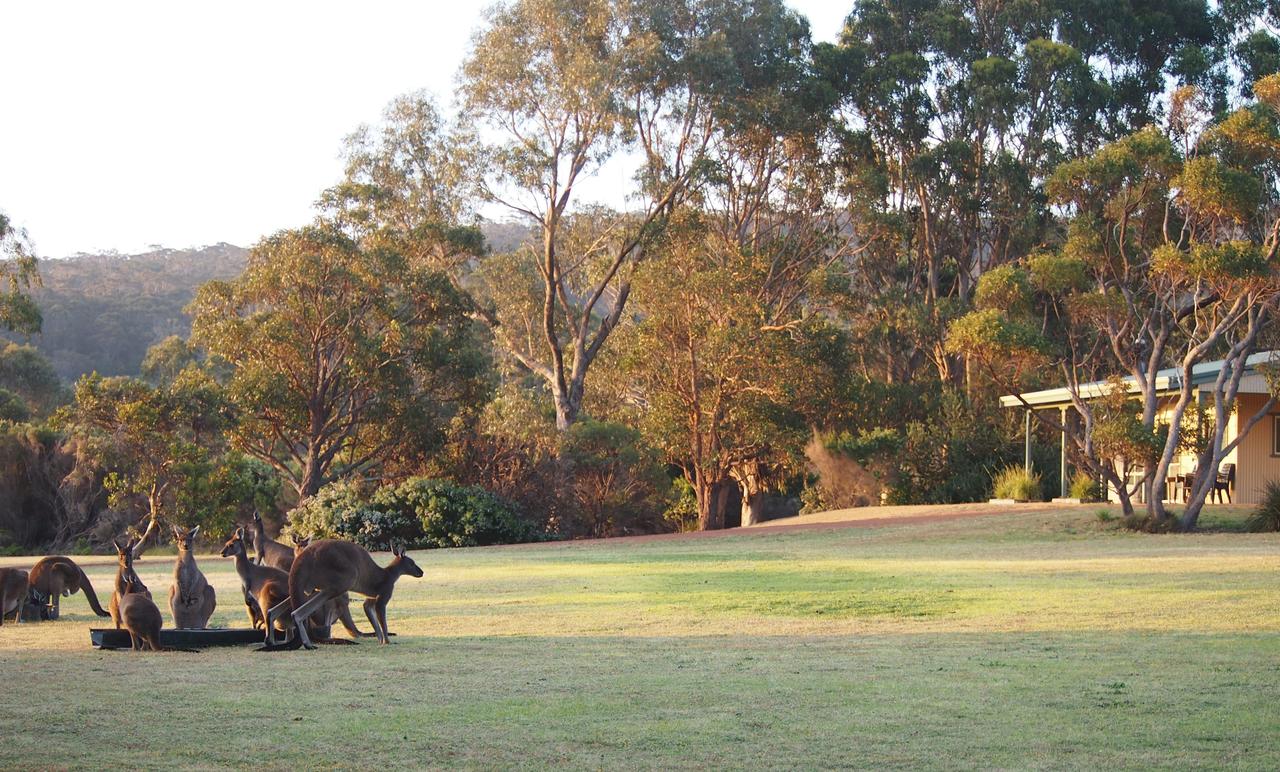  Accommodation in Brisbane