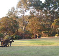 Riverside Retreat Chalets Walpole - Accommodation in Brisbane