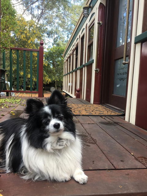 Quiet Escapes Cottages - Accommodation in Brisbane 15