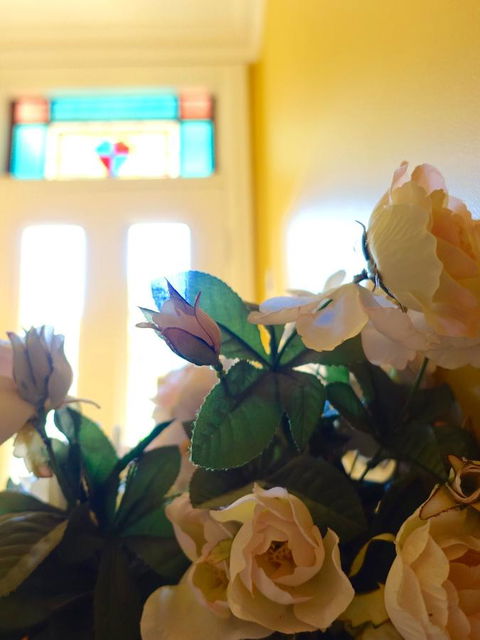 The Blacksmiths Cottage - Accommodation in Brisbane 16