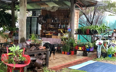 Kellers Bed And Breakfast - Accommodation in Brisbane 20