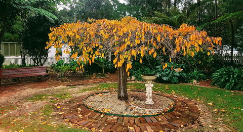 Adamsons Riverside Accommodation - Accommodation in Brisbane 22