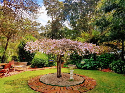 Adamsons Riverside Accommodation - Accommodation in Brisbane 25