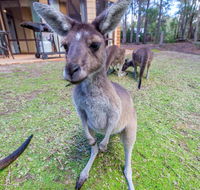 Yelverton Brook Eco Spa Retreat  Conservation Sanctuary - Accommodation in Brisbane