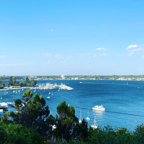 SEA BREEZE â€“ Between Cottesloe Beach & Swan River - Accommodation in Brisbane 23