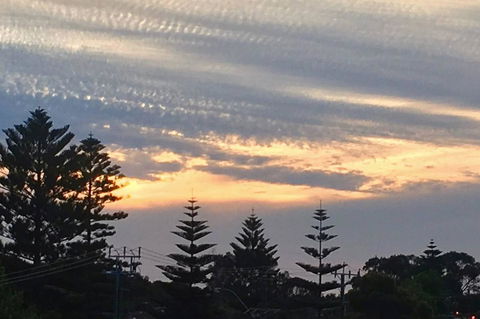 SEA BREEZE â€“ Between Cottesloe Beach & Swan River - Accommodation in Brisbane 16
