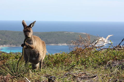 Bremer Bay B&B - Accommodation in Brisbane 30