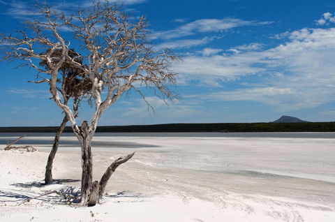 Bremer Bay B&B - Accommodation in Brisbane 33