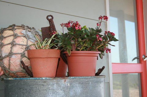 Bremer Bay B&B - Accommodation in Brisbane 28
