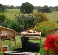 Silversprings cottages - Accommodation in Brisbane