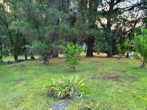 Roland B&B - Accommodation in Brisbane 31