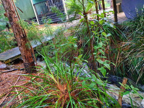Roland B&B - Accommodation in Brisbane 17