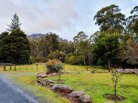 Roland B&B - Accommodation in Brisbane 19