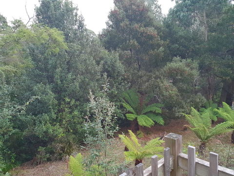 Roland B&B - Accommodation in Brisbane 41