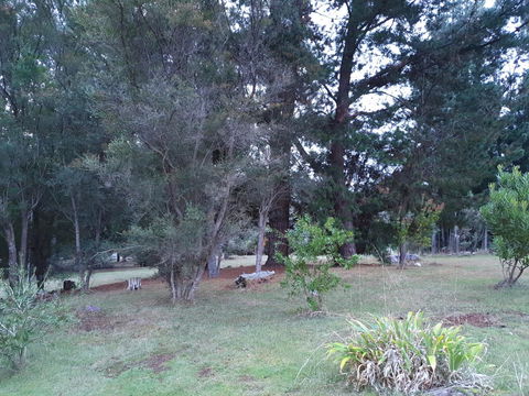 Roland B&B - Accommodation in Brisbane 38